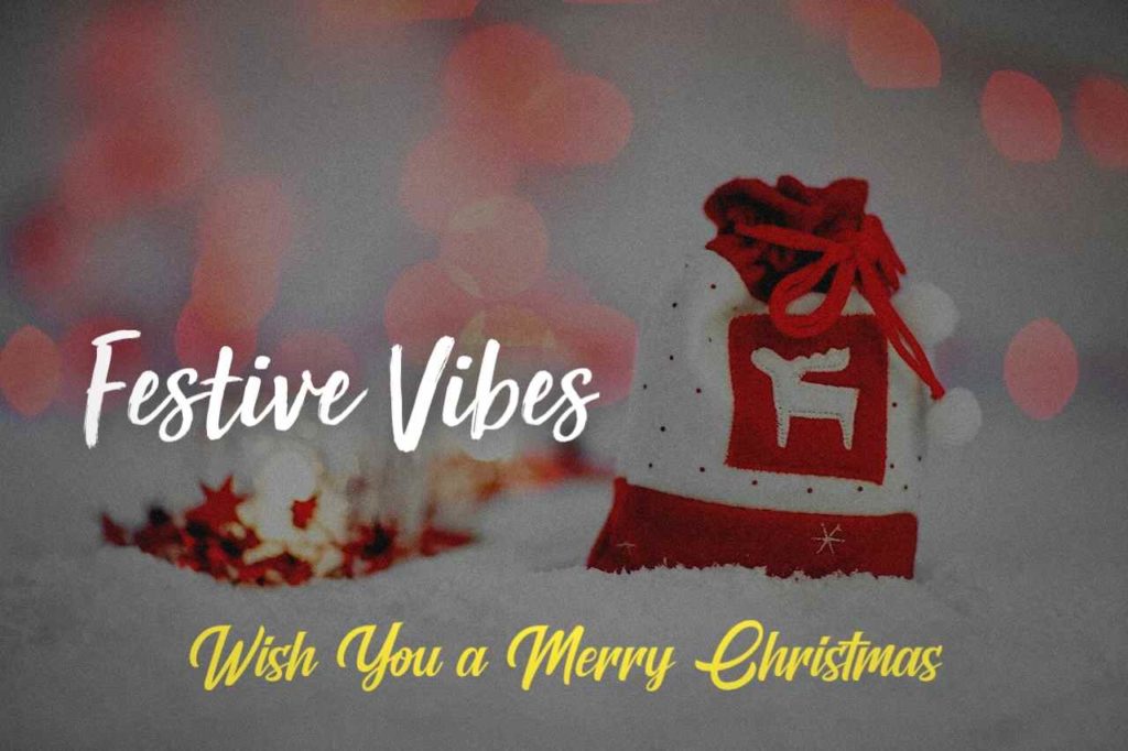 festive vibes quotes